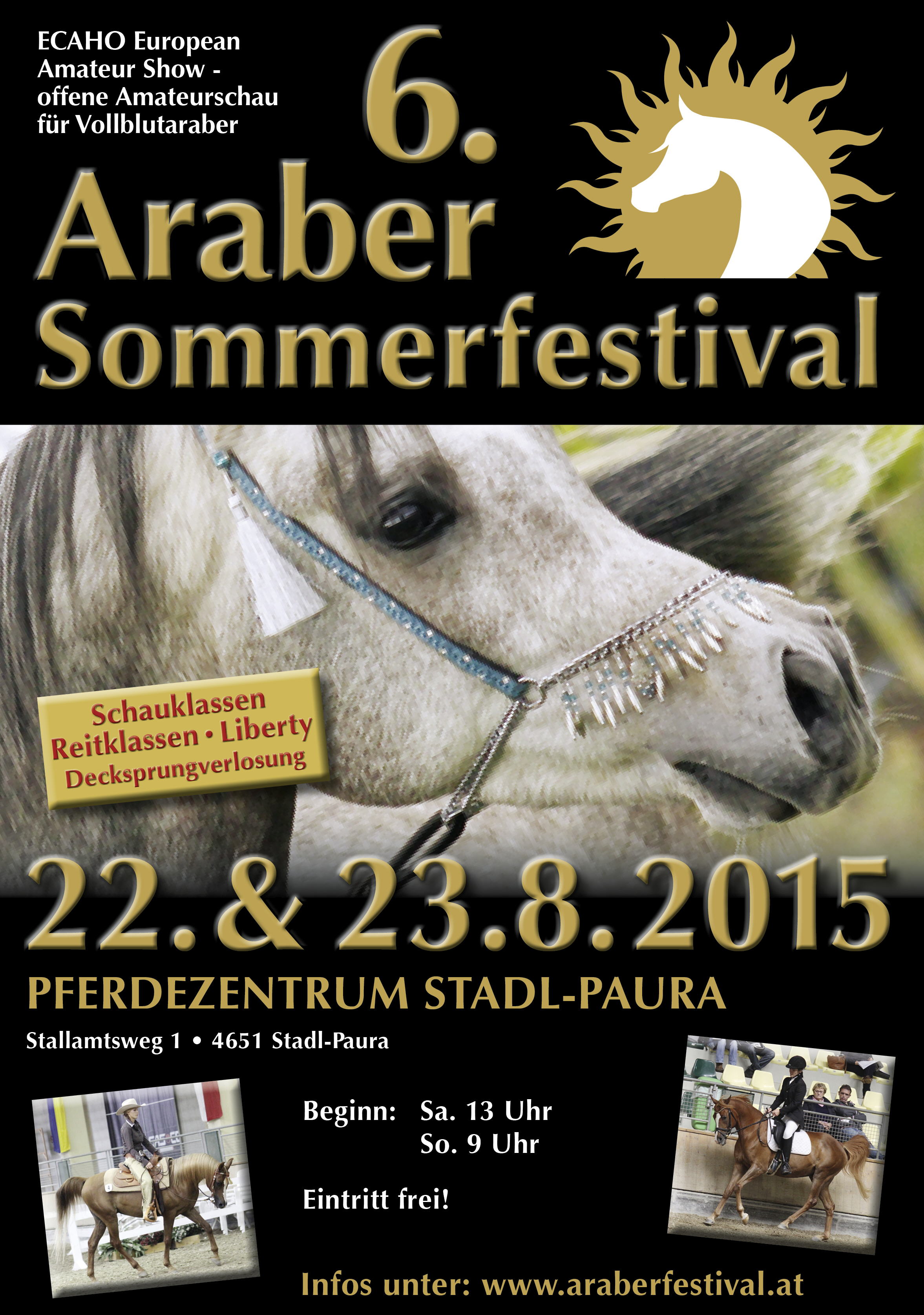 Plakat 2015