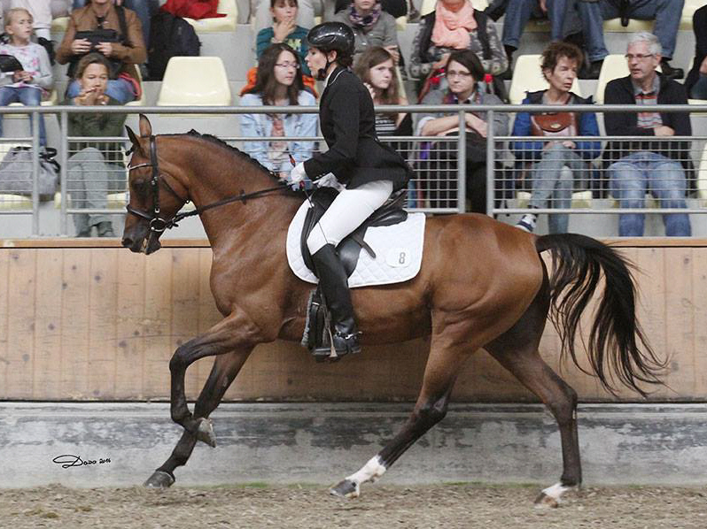 Mefisto unter Stefanie Kolpin