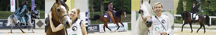 Araber Sommerfestival 2024